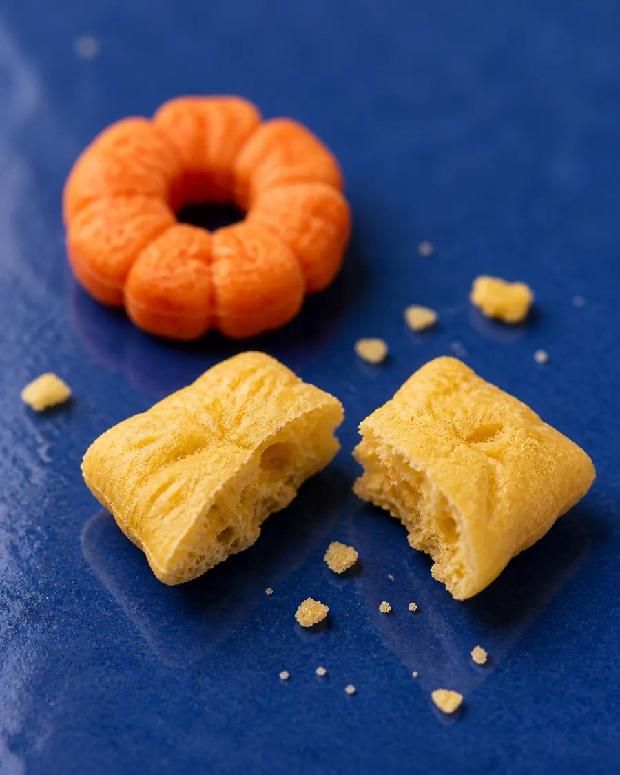 close-up of a broken square cereal form showing a dry, porous interior.
